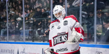 2526 amiens kozun 10