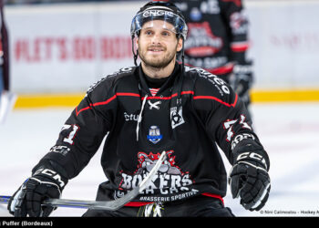 puffer craig bordeaux dom 03