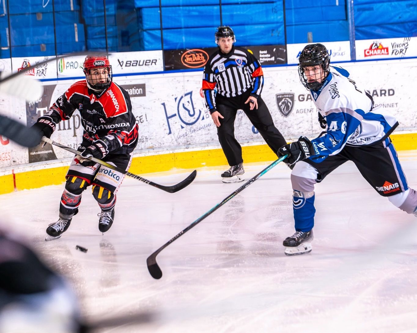 whatsapp image 2026 02 10 at 15.48.56 (1)