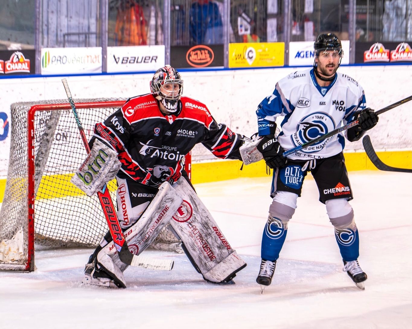 whatsapp image 2026 02 10 at 15.48.56 (2)