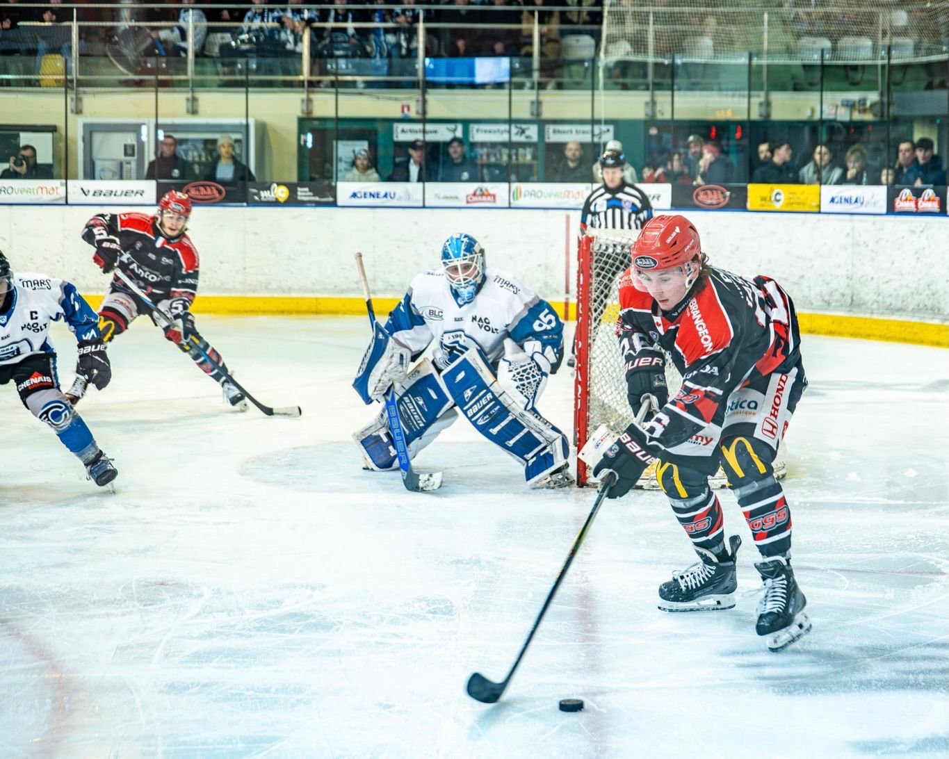 whatsapp image 2026 02 10 at 15.48.56