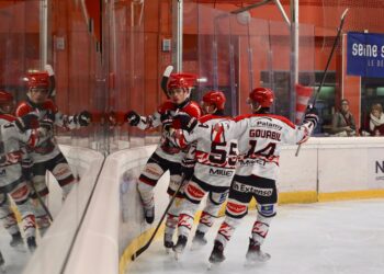 neuillycholetdenisbroyer compressed