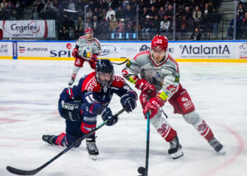 2526 angers playoffs gaborit 2