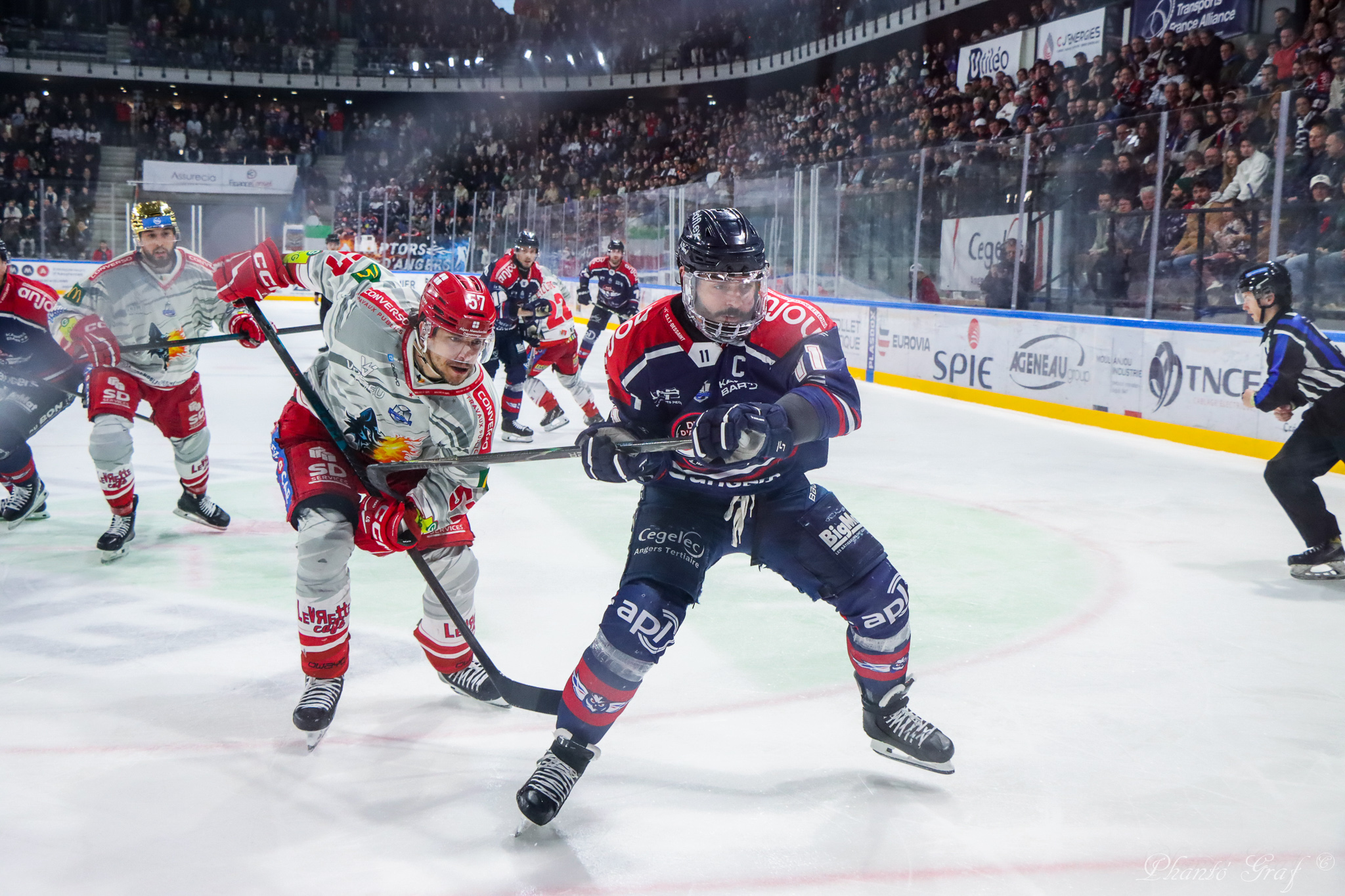 2526 angers playoffs halley 4