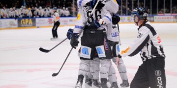 2526 nl fribourg pmaillard (8)