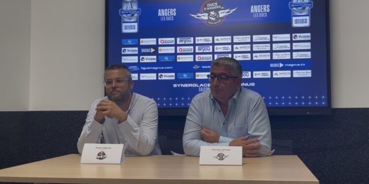 Conférence de presse des Ducs d’Angers