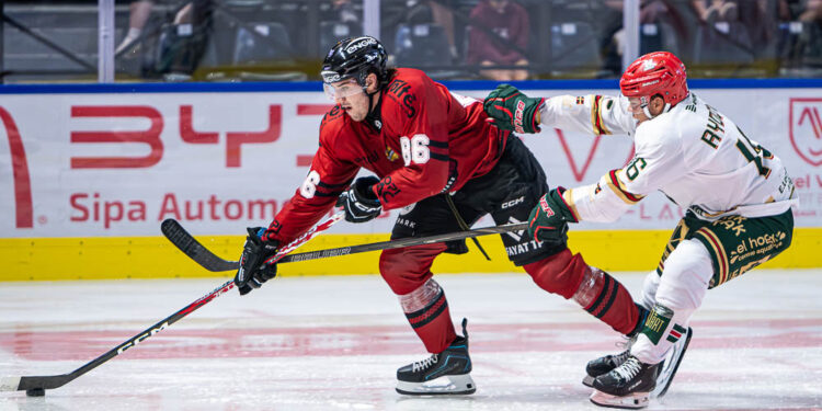 Deux joueurs de hockey disputent le palet sur glace