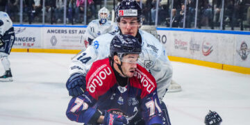 Ducs d&rsquo;Angers : le ressenti des supporters