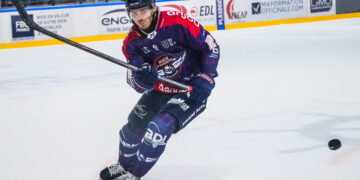 Angers – Gap (Ligue Magnus, 2e journée)
