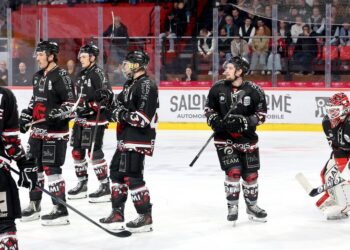 Œil de rapace (Amiens – Gap, Ligue Magnus, 5e journée)