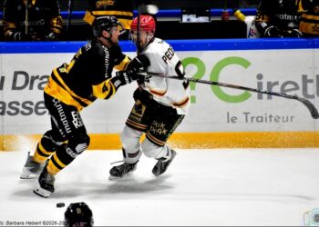 Rouen – Anglet (ligue Magnus, 8e journée)