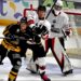 Rouen – Chamonix (ligue Magnus, 9e journée)