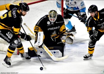 Rouen – Marseille (ligue Magnus, 35e journée, match avancé)